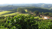 Brazil Adrano Volcano Coffee from Poços de Caldas